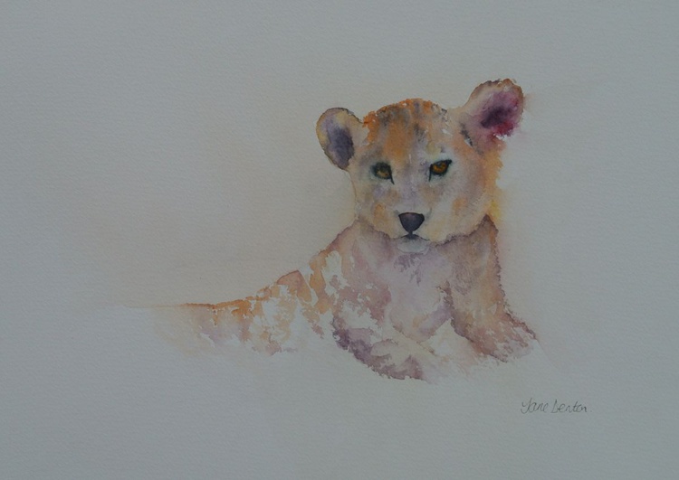 Lion Cub Original Watercolour By Jane Denton Artfinder