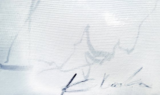 Nocturnal Calligraphy and Traces on Snow