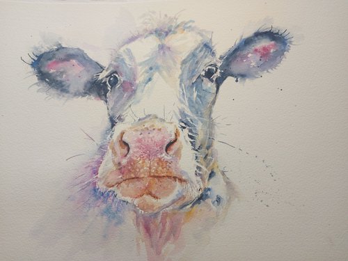 Pretty cow by Sue  Green