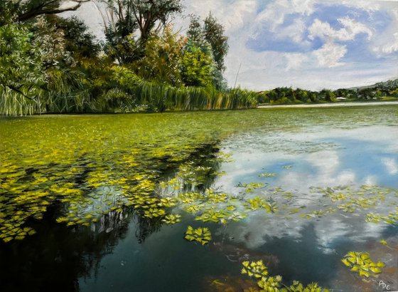 Water Lilies and Cloud Reflections