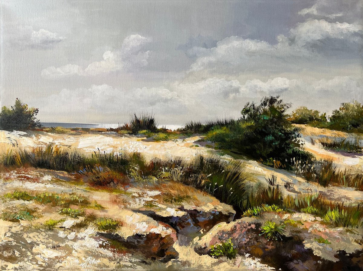 Impressionistic Landscape Acrylic Painting By Maria Kireev, 31 X 24", Dunes Of The Mediterranean Sea_#1, Original Artwork