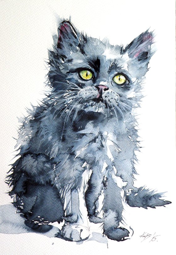 Kitten