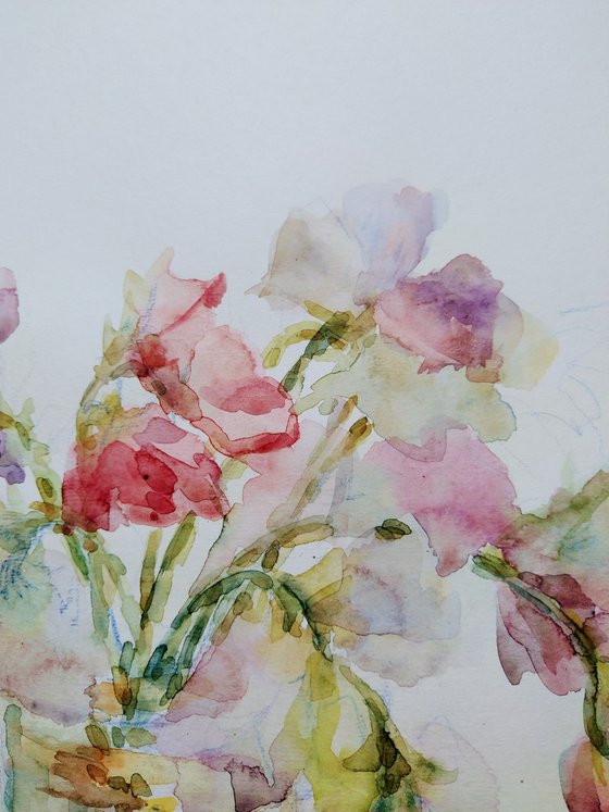 Sweet pea.  Original watercolour painting. 2021