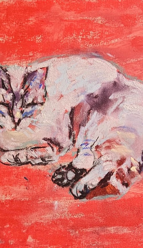 cat in red by Silvia Flores Vitiello