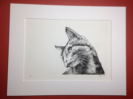 Tigger, Cat Monotype, One of a Kind Printmaking