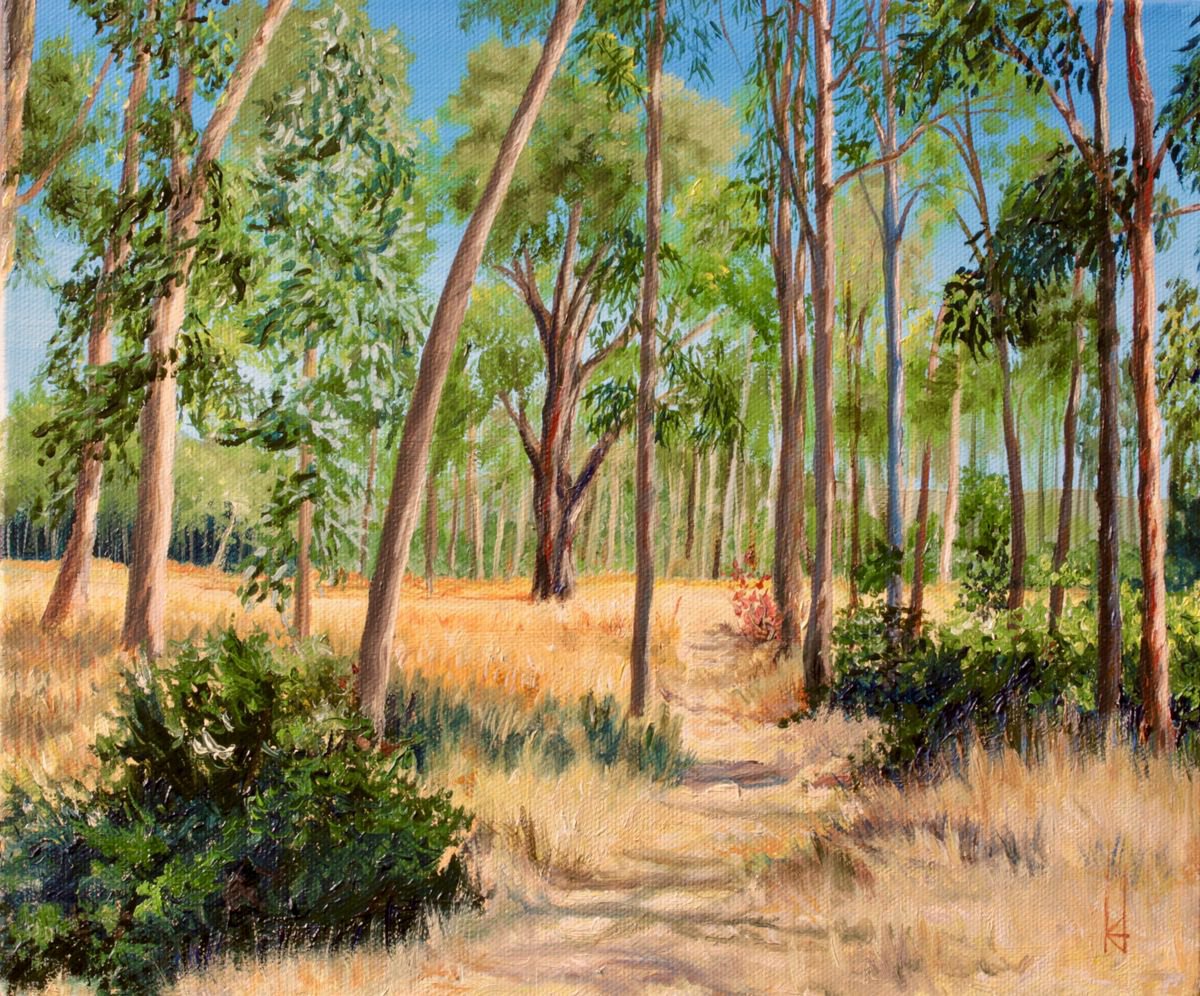 Point Pinole Eucalyptus Glade by Kristi Herbert