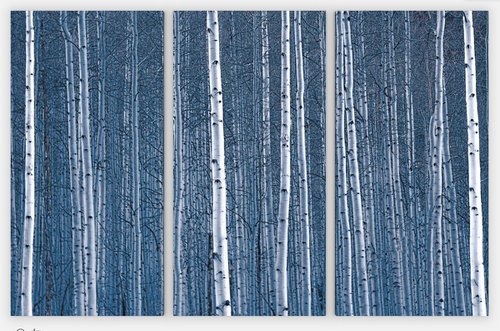 Aspen Blues Gallery Wrapped Canvas Triptych by Emily Kent