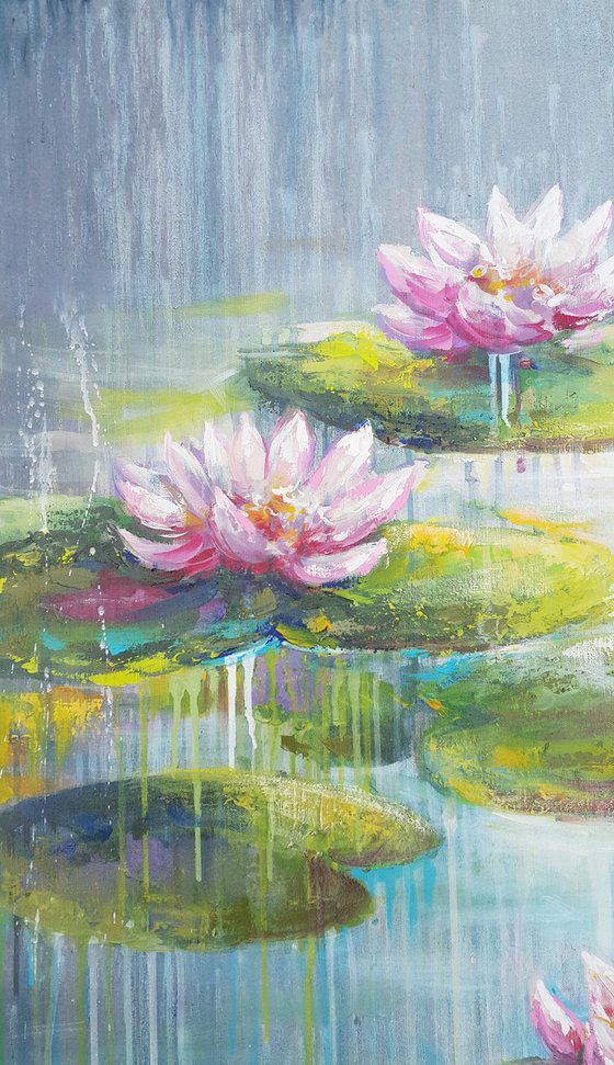 Waterlilies