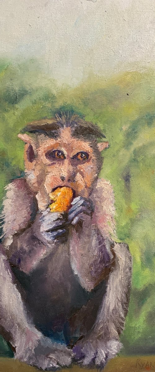 Monkey by Ryan  Louder