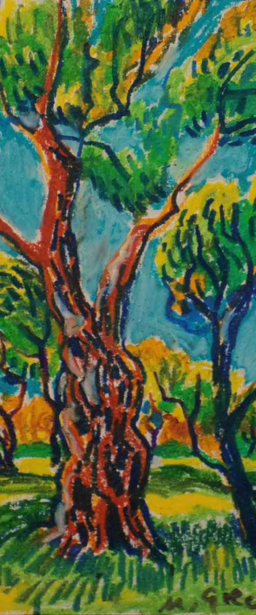Olive grove No 15 by Maja Grecic