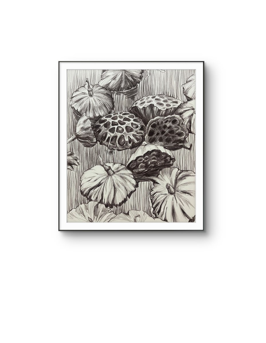 Pencil Drawing , Lotus Pods. Water Flower By Guzel Min, 10 X 12, Artwork For Sale On Artfinder