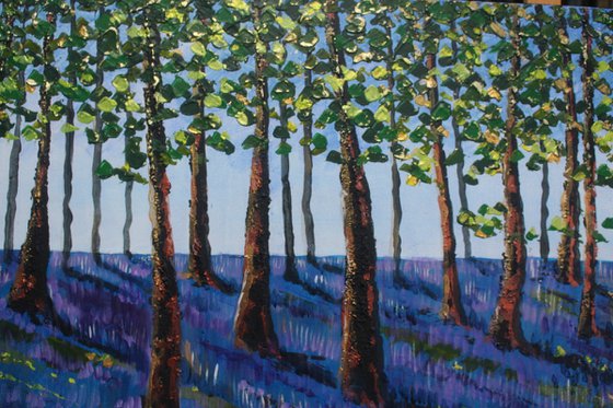 Bluebell wood IV