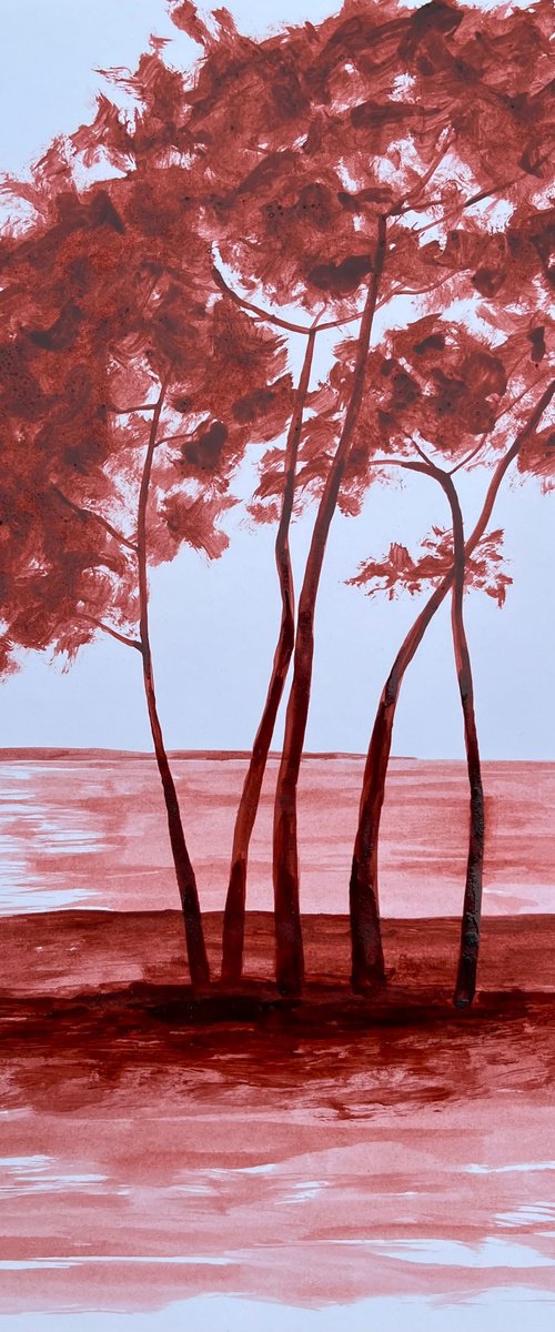 In the shade by Cadiou Frederic