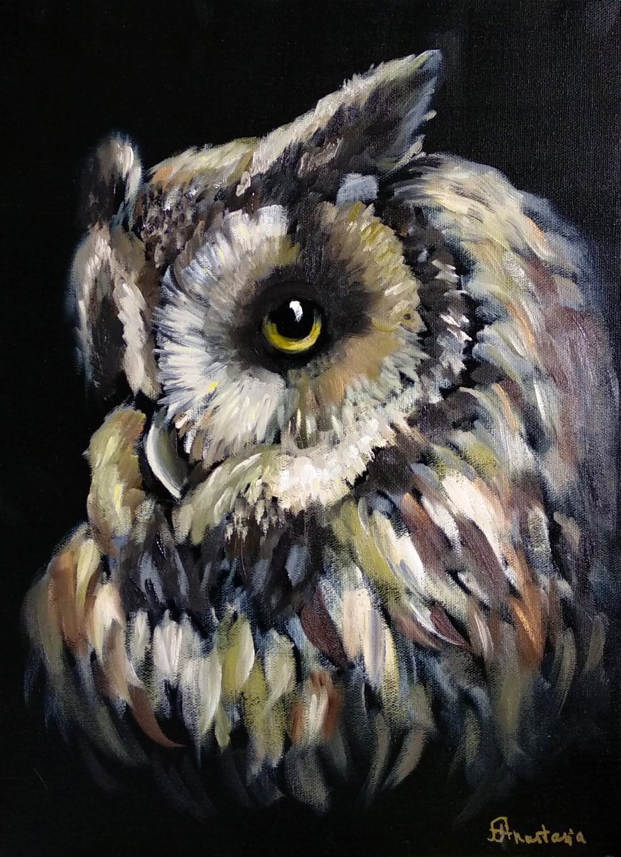 Birds Art Owl Wildlife Nature Night Bird Black & Gold Acrylic Art by Anastasia Art Line