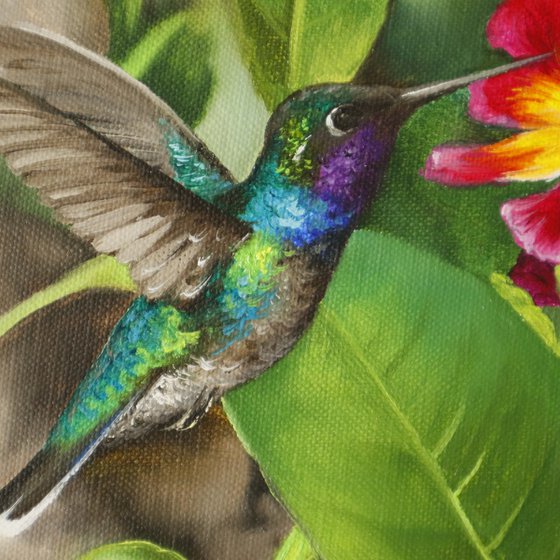 Tropical Hummingbird