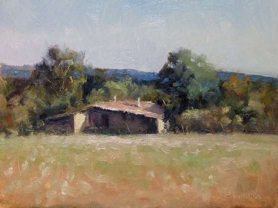 Mas Provençal (Haute-Provence)