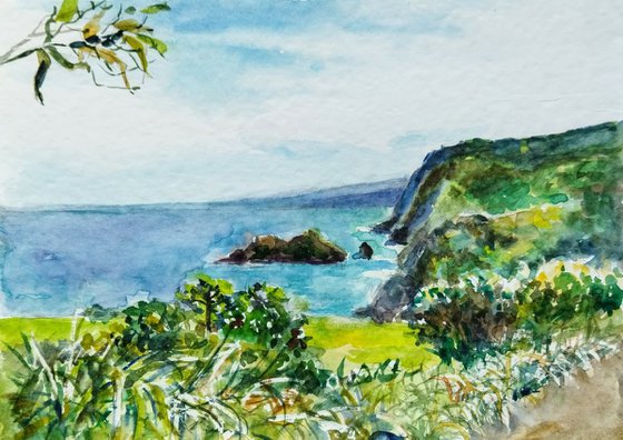 Hawaiian landscape