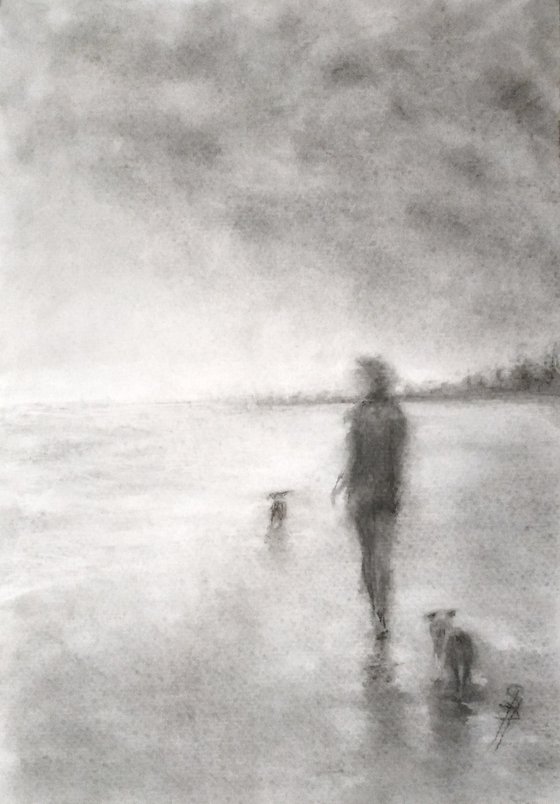 Walk on Stormy  Beach with Dogs