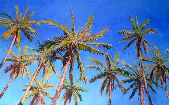 Coconut Palm Trees