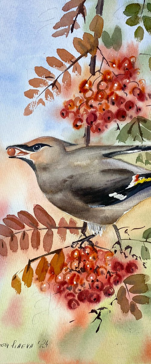 Waxwing on Rowan Branch by Irina Povaliaeva