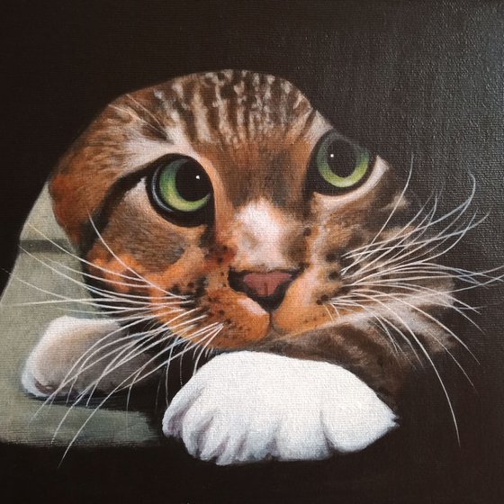 Cat Portrait ~~ an original acrylic painting