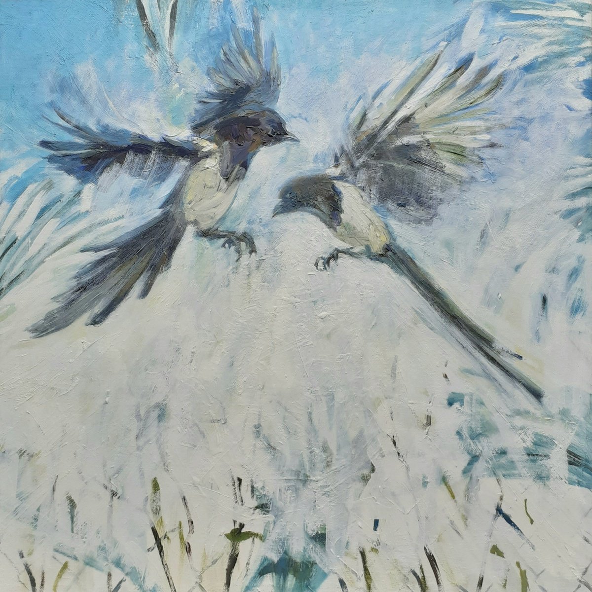 Expressive Animal Oil Painting By Alan Pergusey, 25 X 25, Fighting Magpies, Original Artwork
