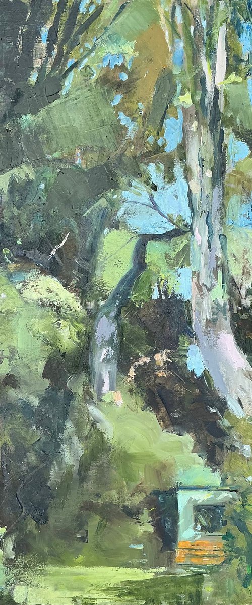 Above the Shed by Sandra Haney