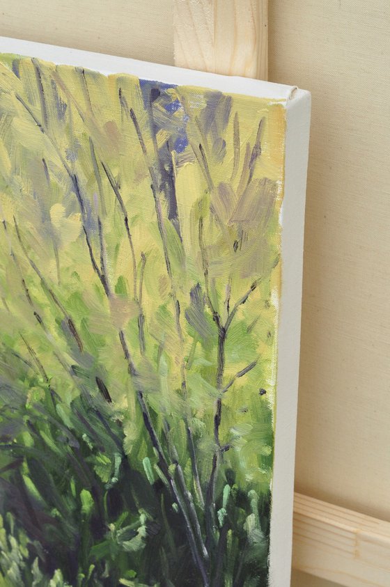 Morning Light on the Loire in Spring