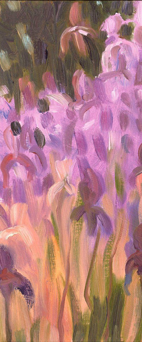 Irises 2. by Richard Mierniczak