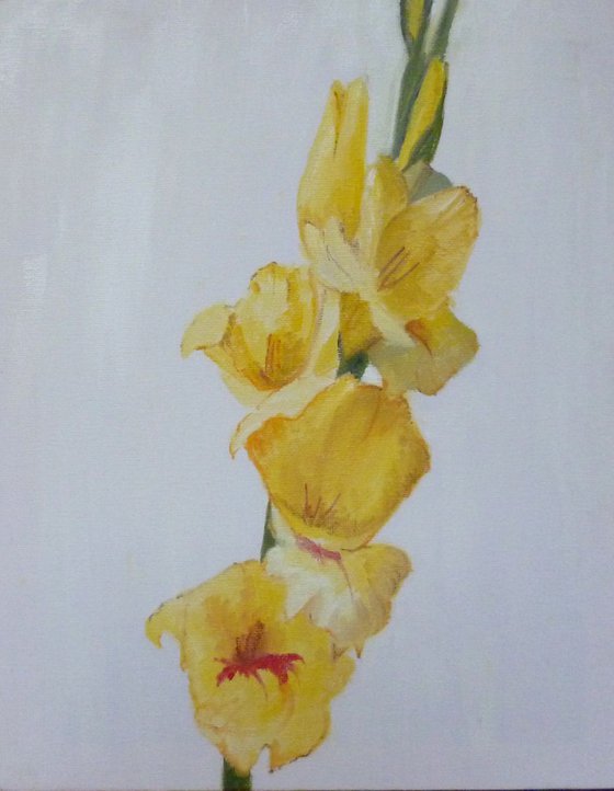 Gladioli