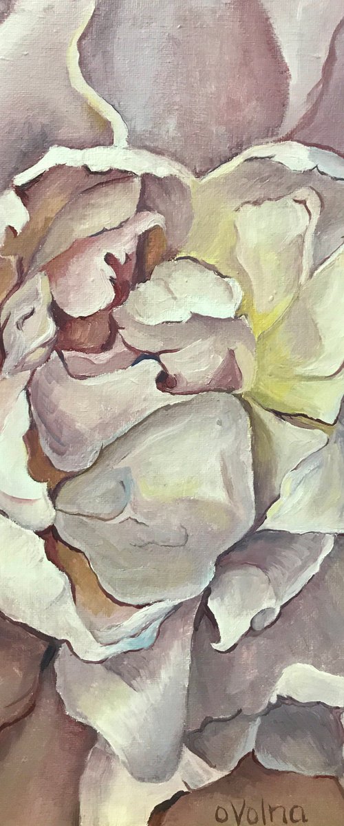 White Peony by Olga Volna