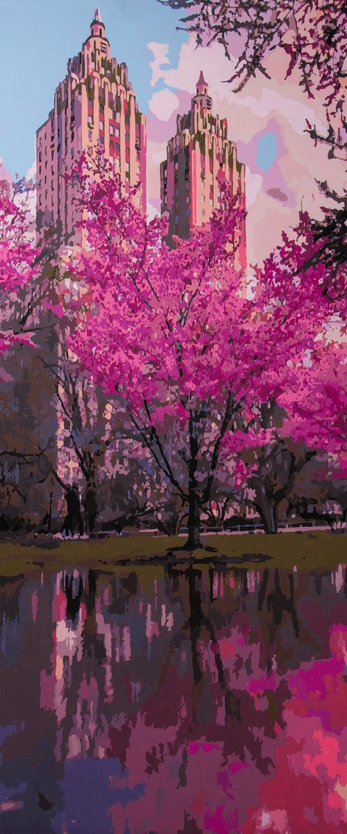 Blossom Reflections by Marco Barberio