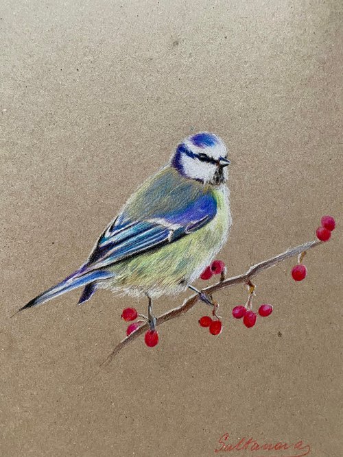 Bird with berries 2 by Elvira Sultanova