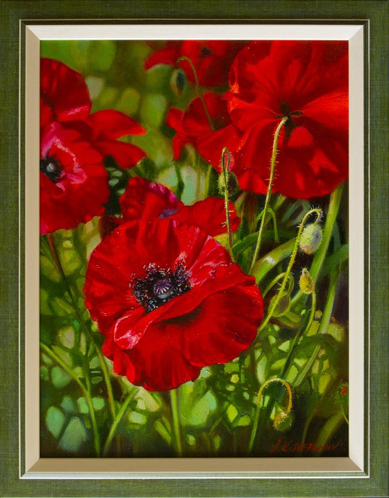 "Scarlet poppies" flowers poppies realism liGHt original painting   GIFT (2018)