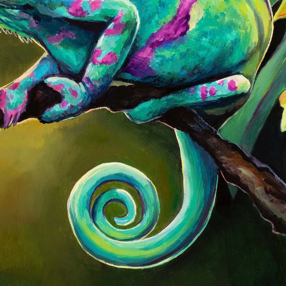 'Groovy chameleon'