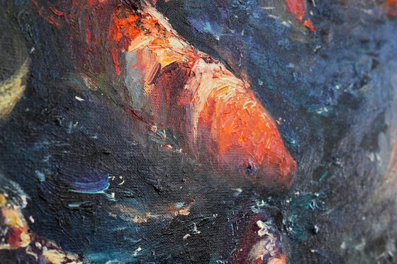 Koi
