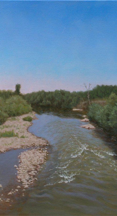 A View From the Old Bridge in Summer by Dejan Trajkovic