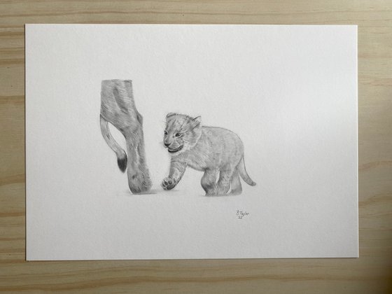 Lion cub following mum