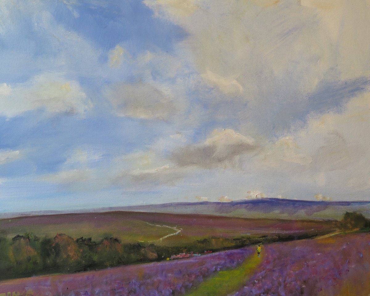 Goathland Heather by Malcolm Ludvigsen