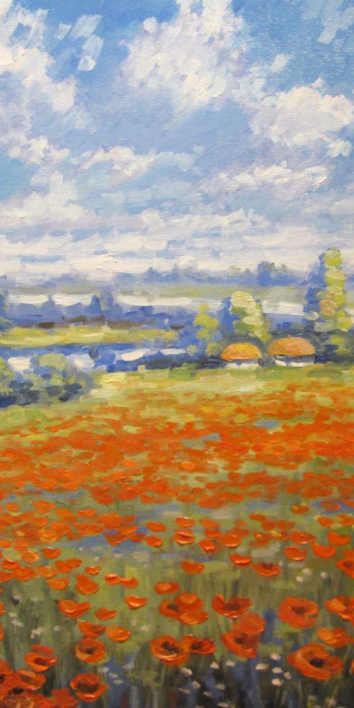 Poppy field by Oleh Rak