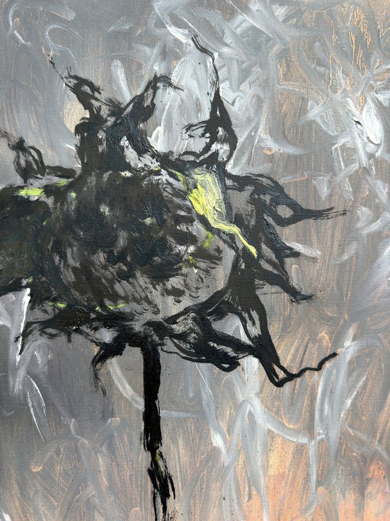 Black Sunflower (Crown of Thorns)