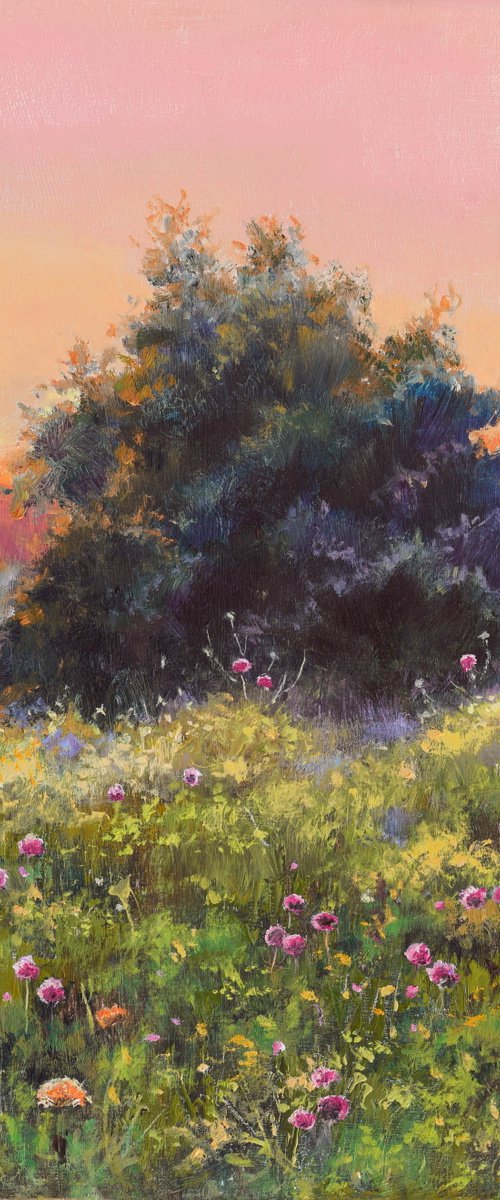 'A field of smiles' by Lucia Verdejo