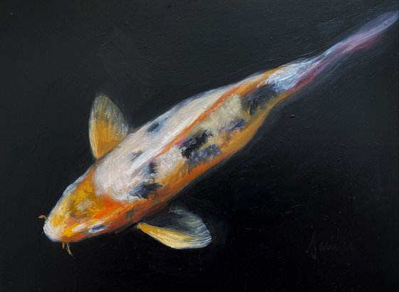 Koi Carp Fish