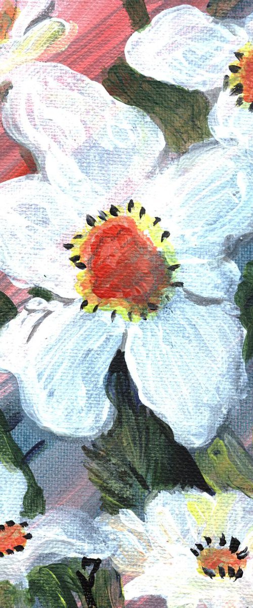 anenome style flowers by Sandra Fisher