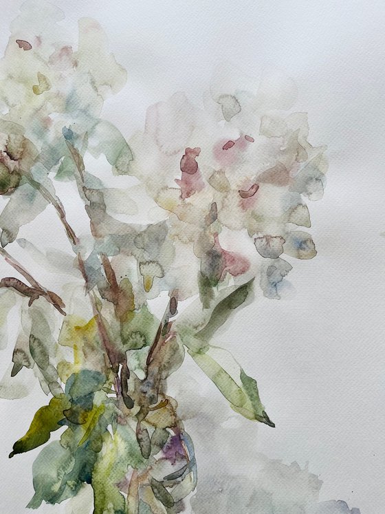Peonies 50x65 cm 2025