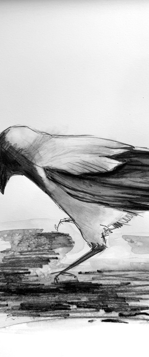 One Crow Adventures I by Anna Lyashenko