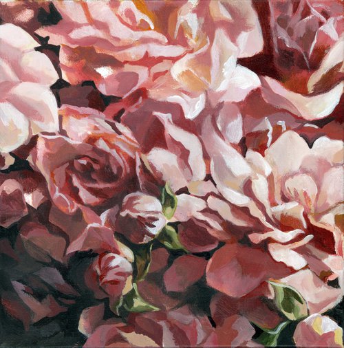 roses in pink by Alfred  Ng