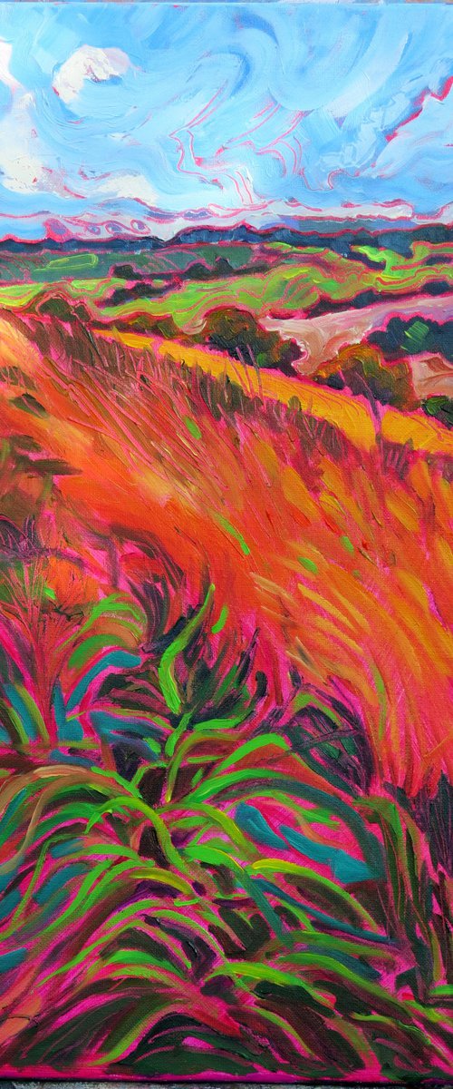 County Durham Landscape by Mary Kemp