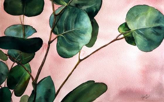 Green Eucalyptus on Pink Background _ ORIGINAL Watercolor Painting - Botanical Art