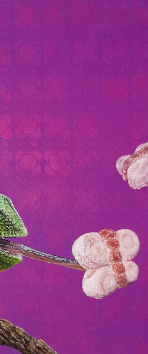 The Candy Hunter by Claudia Daminato